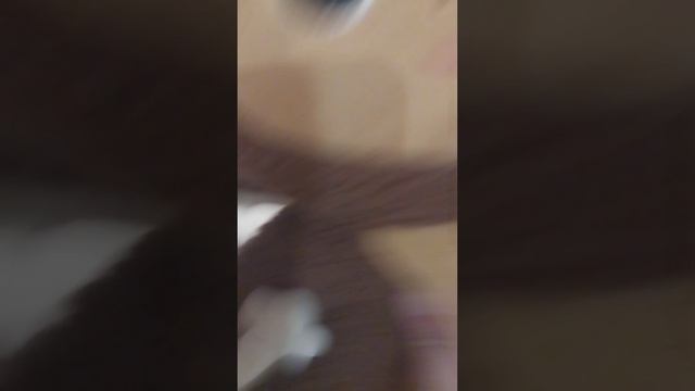 смешные новости