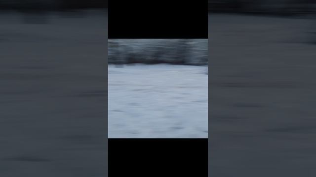 С 31 декобря