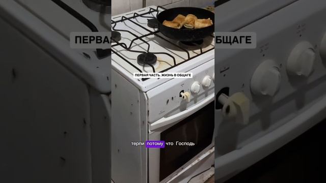 Домашние питомцы