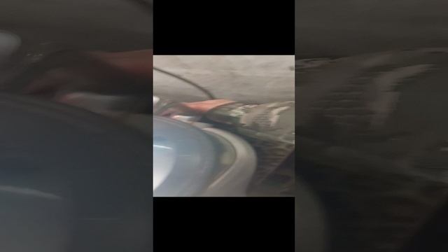1000008292.mp4