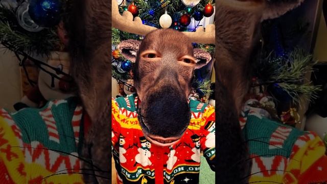 С новым годом.!!!