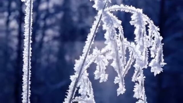 На белом покрывале января  Лучшие новогодние песни 2023