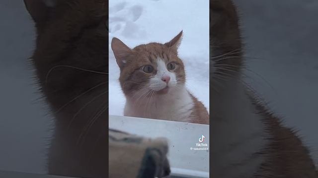 1000009069.mp4