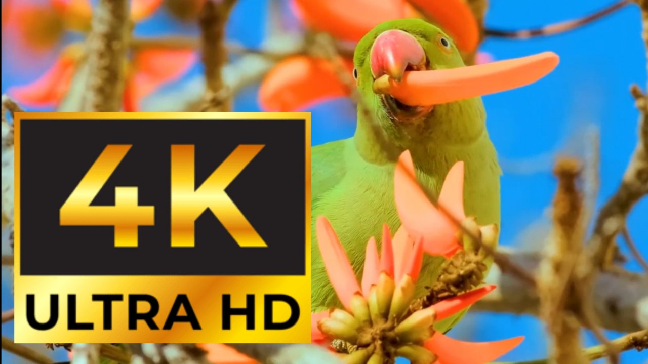 4K ultra HD 60FPS