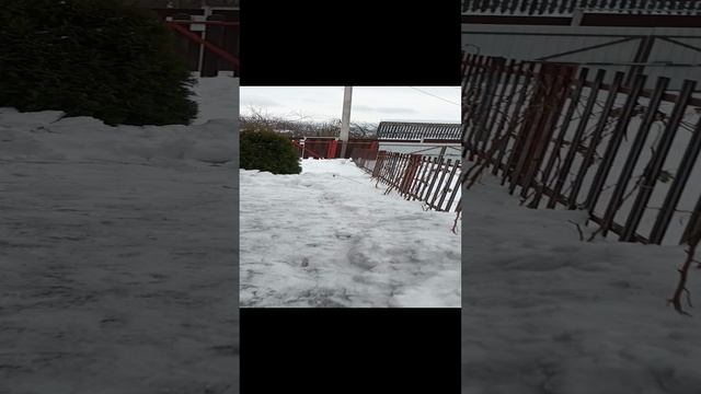 1000008225.mp4