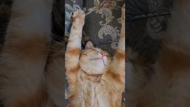 Утреннее настроение 31-го числа 👆😍