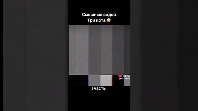 три кота мем