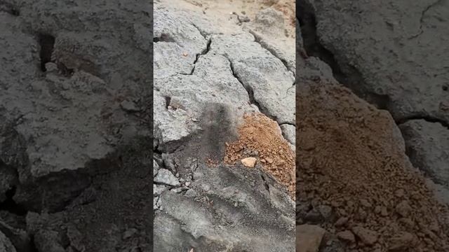 Абиссинская скважина в Уварово . г Владимир. черная глина .разведка .