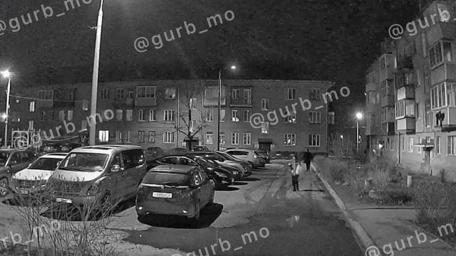 Нападение с химической жидкостью в Подмосковье