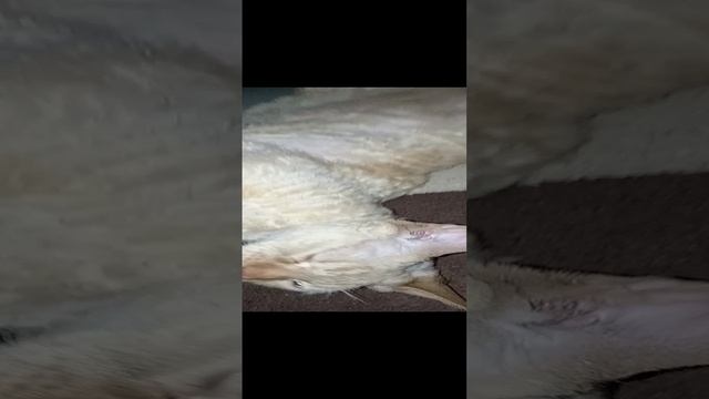 Подарочек готов