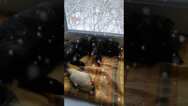 Новогоднее чудо✨ Мелисса дома💝