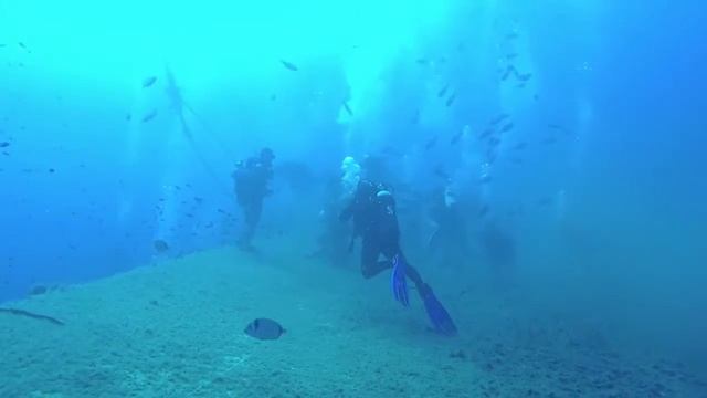 Zenobia diving 720