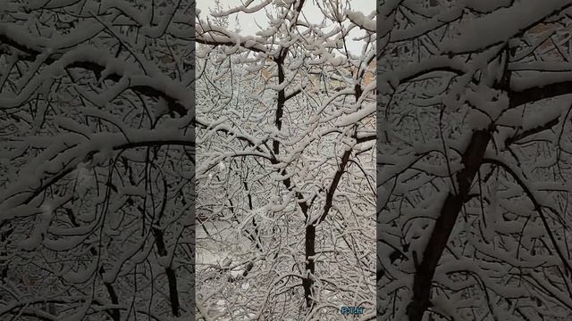 Москва - 31.12.24.