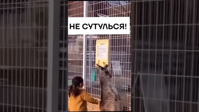 😂😂😂😂😂😂