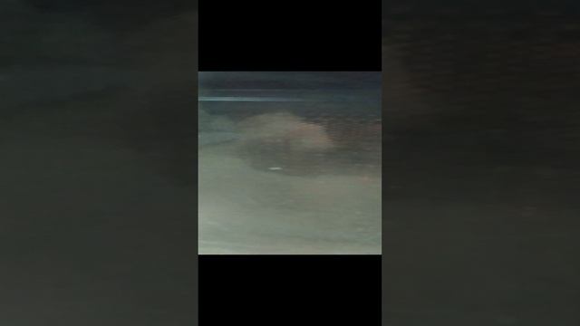 VID_20241230_195808.mp4