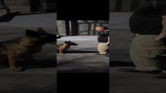 20220908_191618_1.mp4
