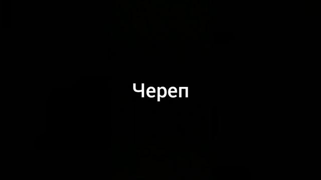 череп мем
