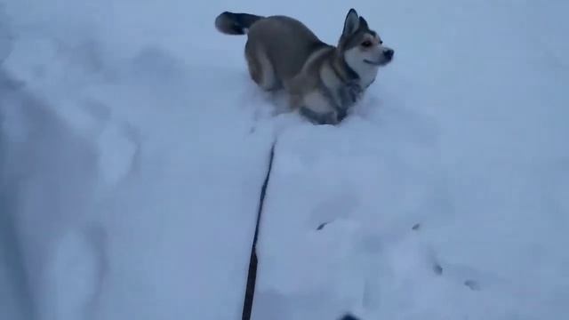 Просто Гром HD