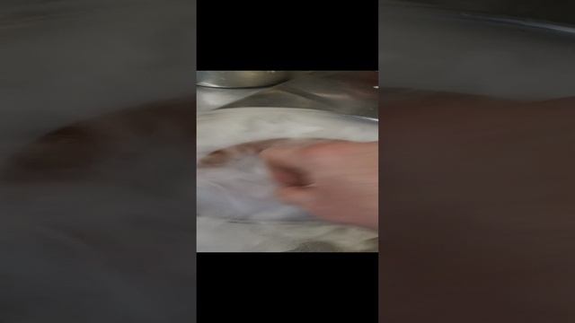 1000037009.mp4