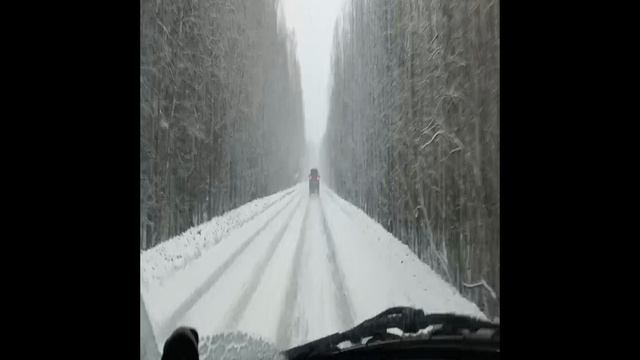 Без названия.mp4
