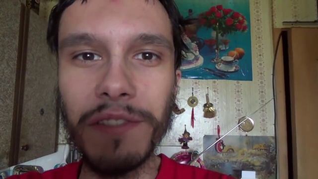 Сыр "Сырцееды" со вкусом огородных трав и чай MacTea