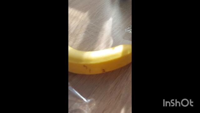 1000068963.mp4