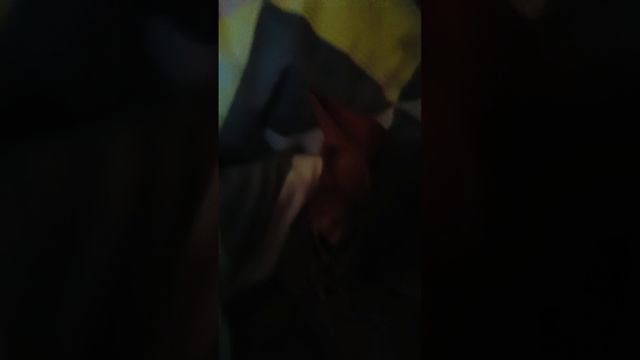 я была в в самом большом Московском цирке на представлении золотая рыбка