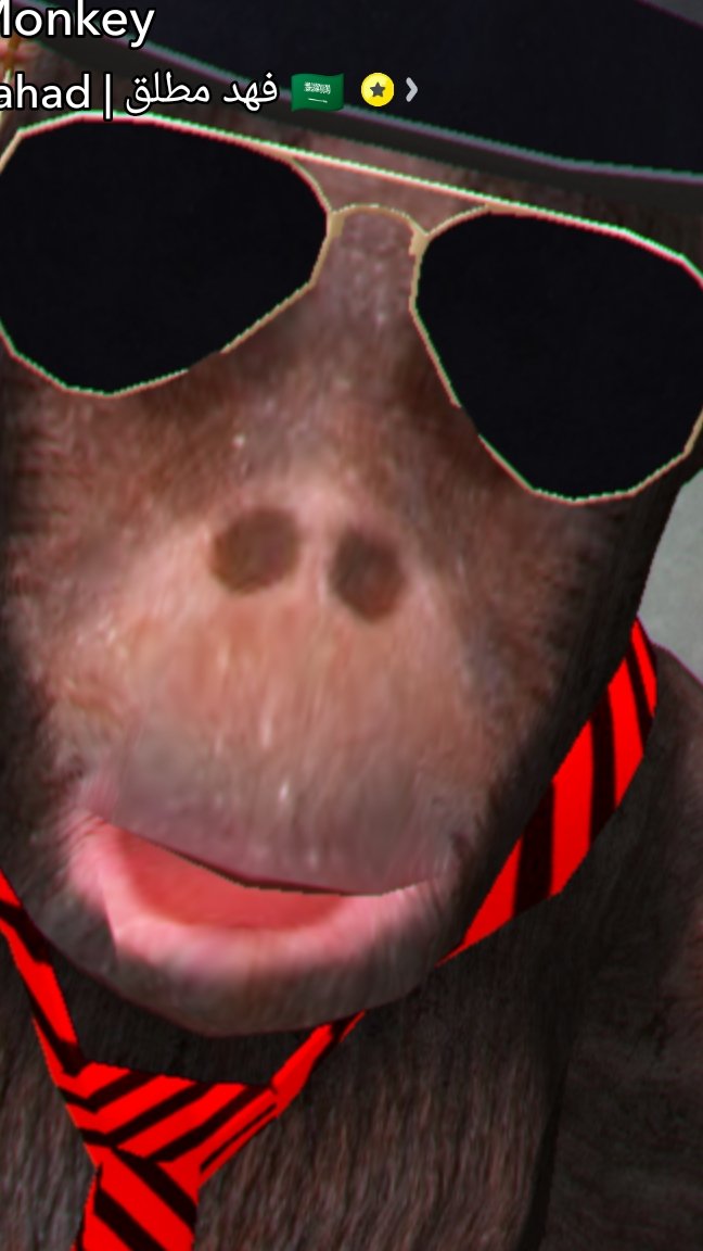 scene_output.mp4