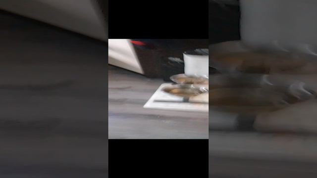 ПРОДОЛЖЕНИЕ МИЛЫЕ СОБАЧКА И КОТ