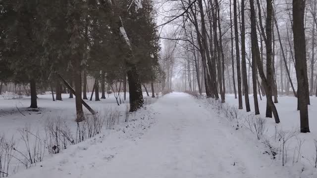 Мои личные итоги 2024 года. Парк. Усадьба Храповицких.