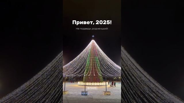 🎉 С Новым 2025 годом!