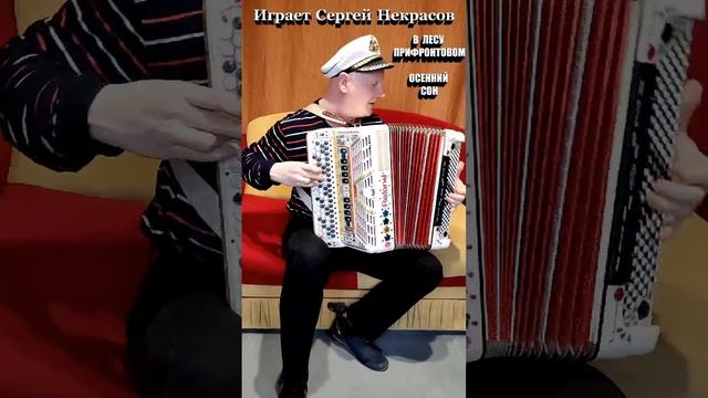 В ЛЕСУ ПРИФРОНТОВОМ - ОСЕННИЙ СОН