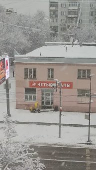 Люберцы❄🎄❄снегопад перед Новым годом❄🎄❄порадовал #russia#подмосковье#доставщик 31.12.2024