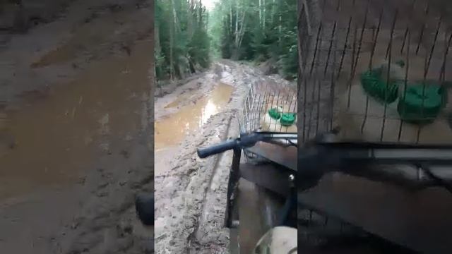 Болотоход трешка по лесовозной дороге .