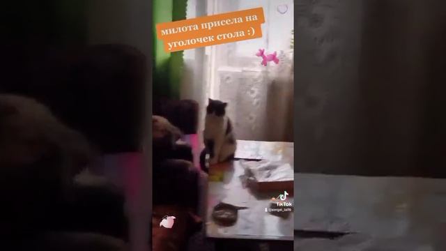 присела на уголочек