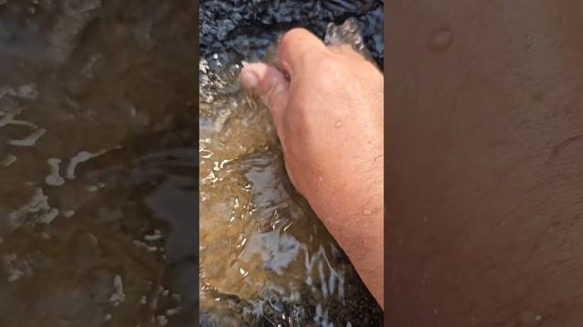 1000033020.mp4 золото