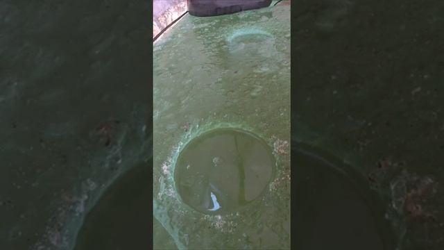 Ловля карася зимой на мормышку.mp4