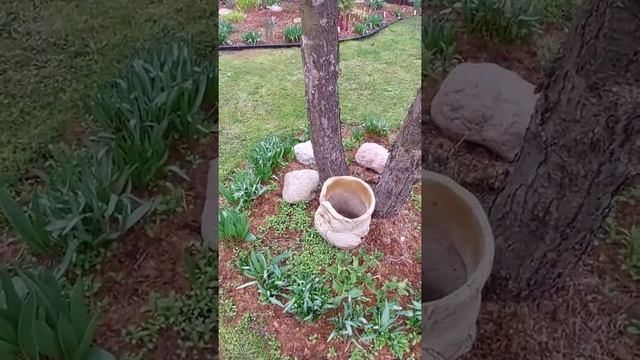 кашпо из шамотной глины для однолетников