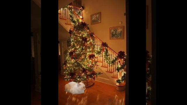 10:30 по
МСК времени
будет стрим