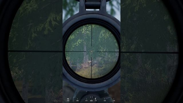 Снайпер сделал больно целому дому #shorts #squad #снайпер #sniper #gaming #сквад