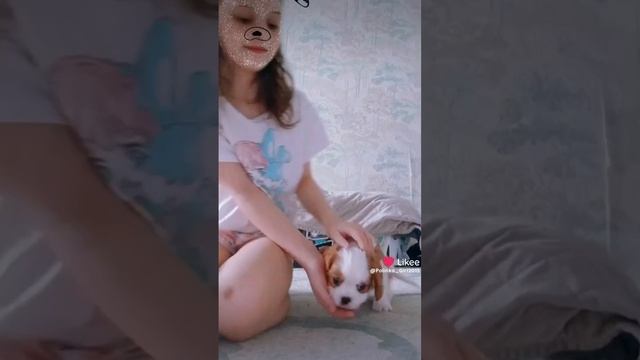 Барон мой лучший подарок за все мои 10 лет!🥰