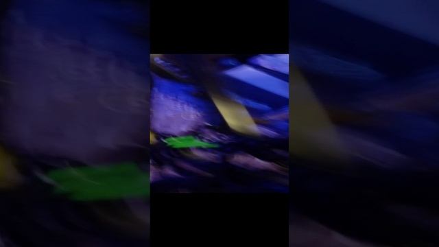 обзор на велосипед и на скейтборд