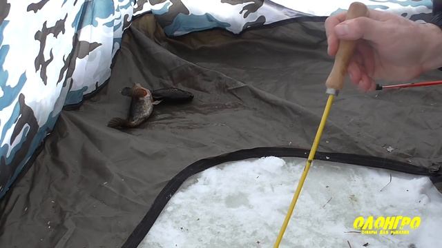 Зимняя рыбалка. РОТАН КОЛЫВАНСКИХ ОЗЁР. Подводные съёмки.