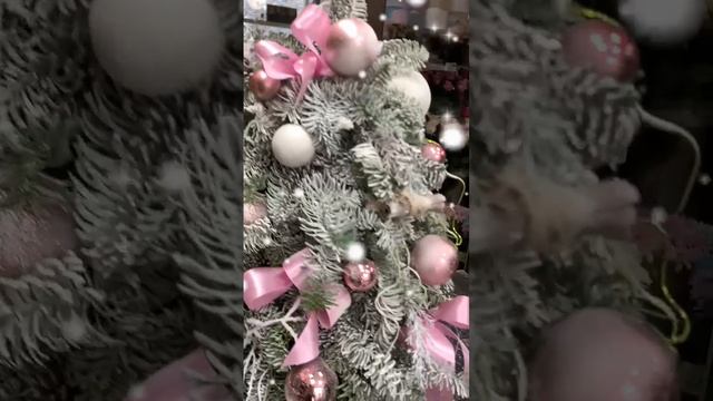 Елочка из Нобилиса