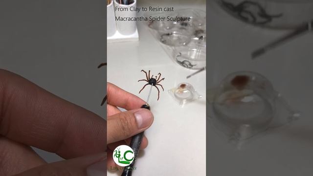 Sculpture _ Macracantha arcuata _ Long Horned Orb Weaver Spider @LifeofClay