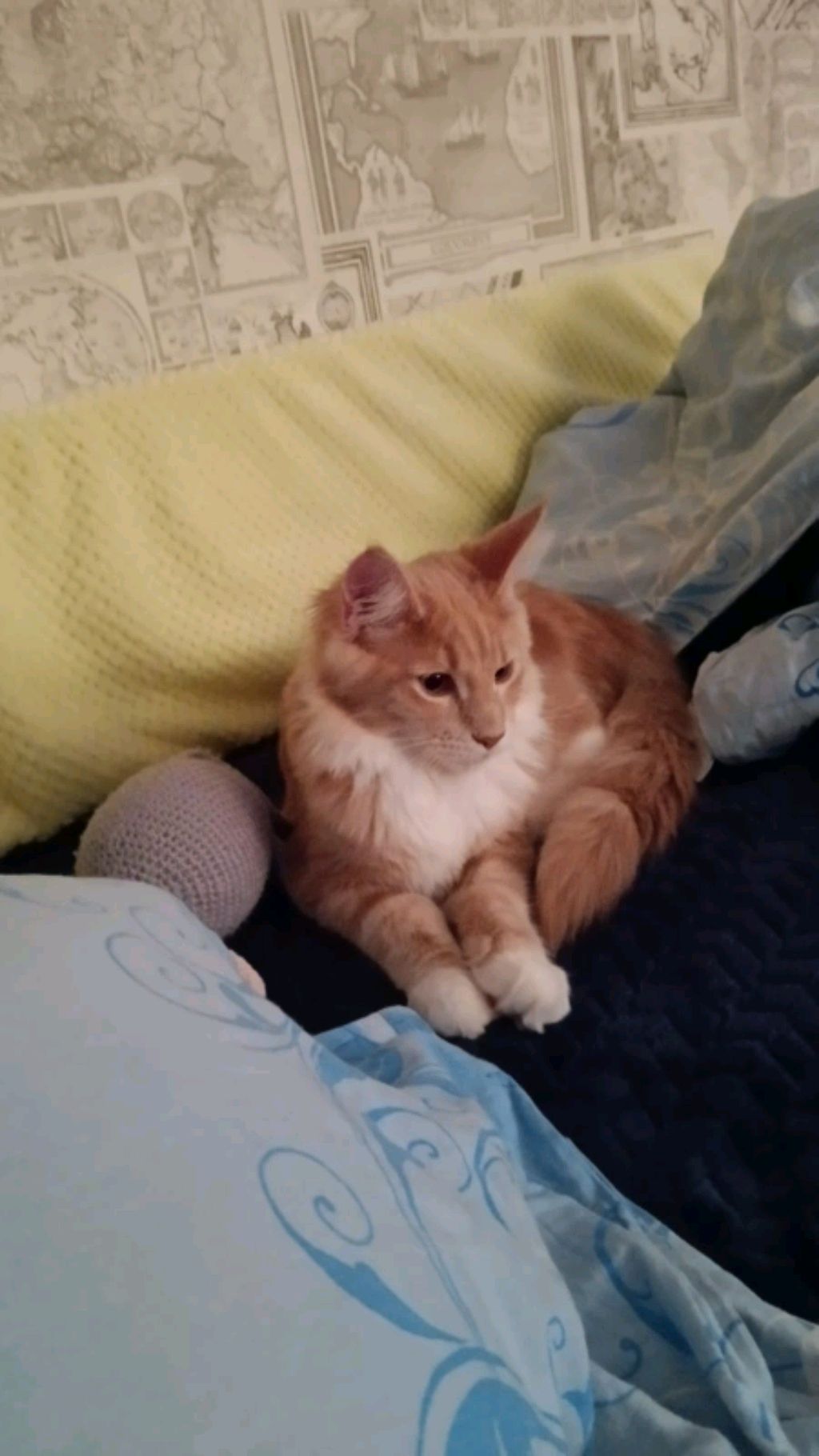 что