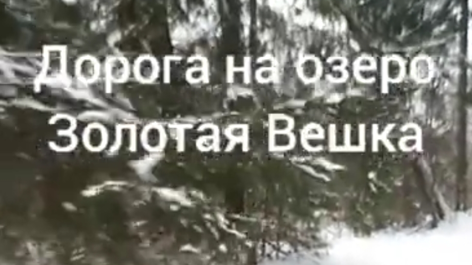 дорога на озеро золотая вешка .Зимой