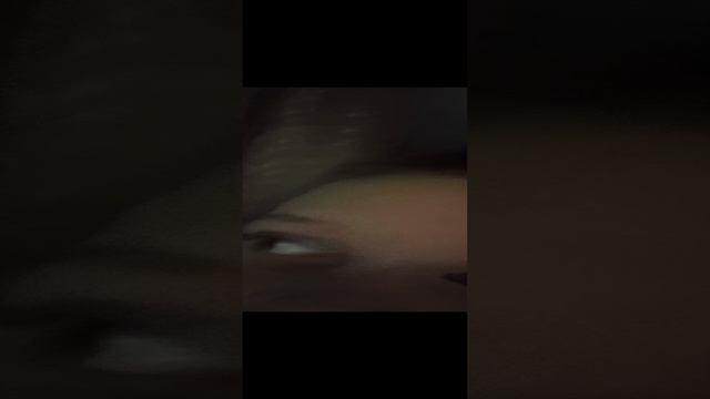 Всех с новым годом