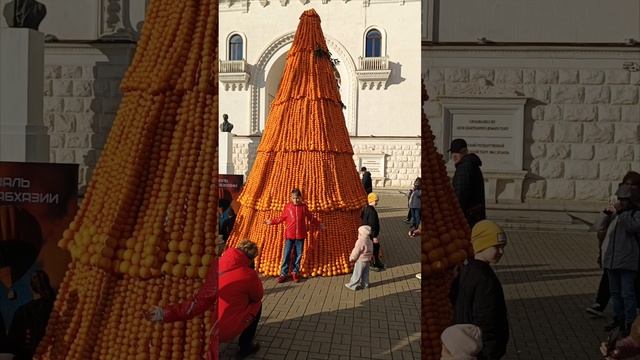 Новогодняя сухумская мандаёлка (ёлка из мандаринов).