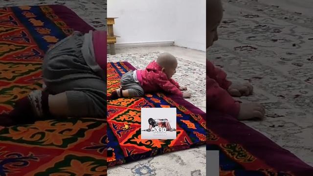 1000021919.mp4